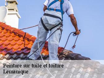 Peinture sur tuile et toiture Lemanique 