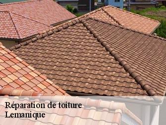 Réparation de toiture Lemanique
