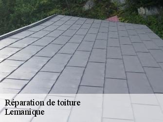 Réparation de toiture Lemanique