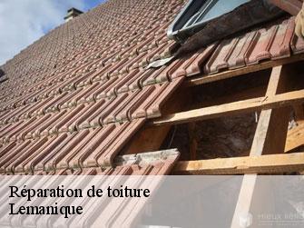 Réparation de toiture Lemanique 