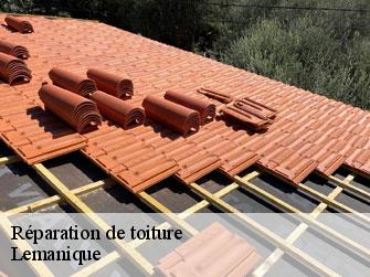 Réparation de toiture Lemanique 