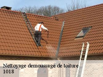 Nettoyage demoussage de toiture  1018