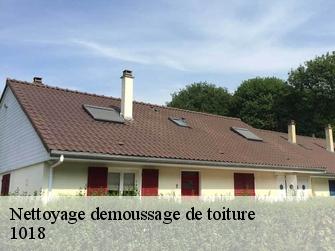 Nettoyage demoussage de toiture  1018