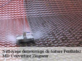 Nettoyage demoussage de toiture  1305