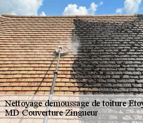 Nettoyage demoussage de toiture  etoy-1163 MD Couverture Zingueur