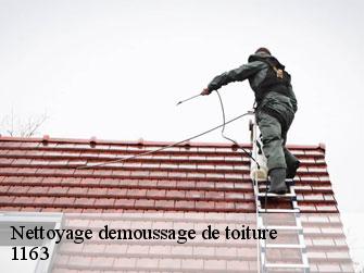 Nettoyage demoussage de toiture