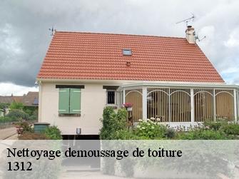 Nettoyage demoussage de toiture