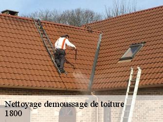 Nettoyage demoussage de toiture  1800