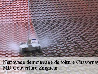 Nettoyage demoussage de toiture  1373