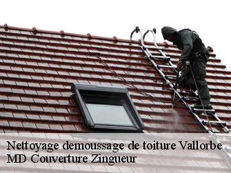 Nettoyage demoussage de toiture