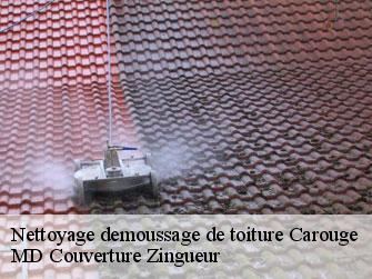 Nettoyage demoussage de toiture  1227