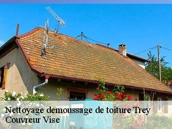 Nettoyage demoussage de toiture