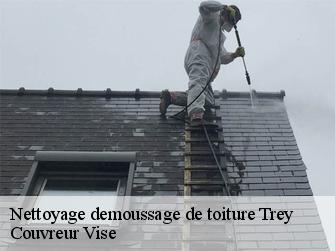Nettoyage demoussage de toiture 1552