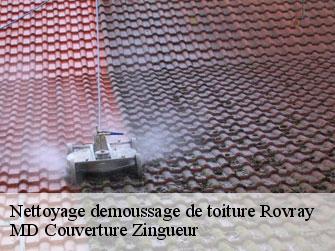 Nettoyage demoussage de toiture  1463