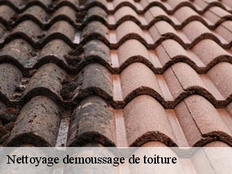 Nettoyage demoussage de toiture