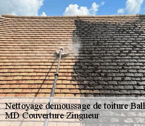 Nettoyage demoussage de toiture  ballaigues-1338 MD Couverture Zingueur