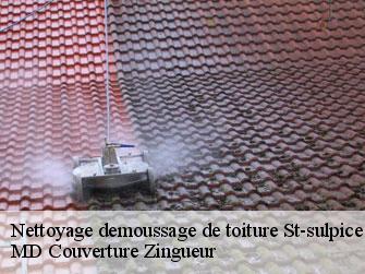 Nettoyage demoussage de toiture  1025