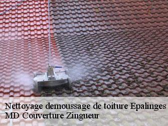 Nettoyage demoussage de toiture  1066