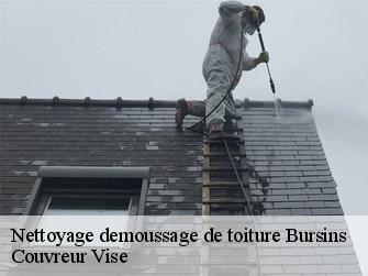 Nettoyage demoussage de toiture 1183