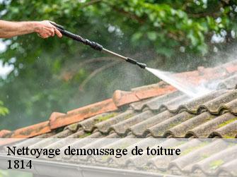 Nettoyage demoussage de toiture  1814