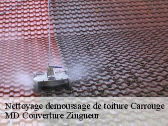 Nettoyage demoussage de toiture  1084