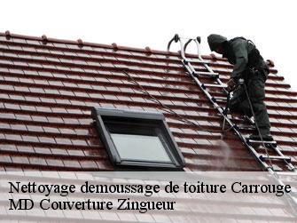 Nettoyage demoussage de toiture