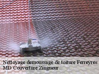 Nettoyage demoussage de toiture  1313