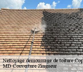 Nettoyage demoussage de toiture  coppet-1296 MD Couverture Zingueur