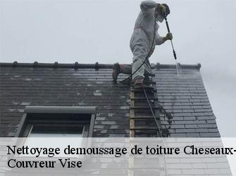 Nettoyage demoussage de toiture 1033