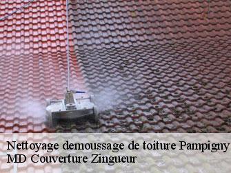 Nettoyage demoussage de toiture  1142