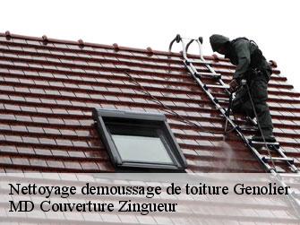 Nettoyage demoussage de toiture