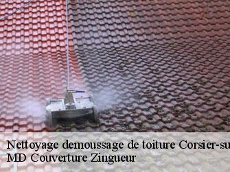 Nettoyage demoussage de toiture 1804