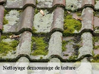 Nettoyage demoussage de toiture