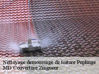 Nettoyage demoussage de toiture  1241