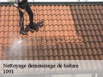Nettoyage demoussage de toiture  1091