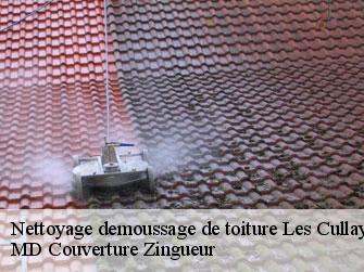 Nettoyage demoussage de toiture  1080