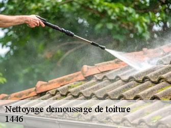 Nettoyage demoussage de toiture  1446