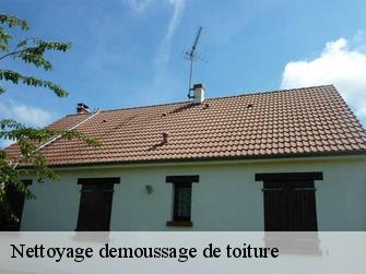 Nettoyage demoussage de toiture