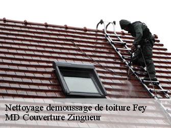 Nettoyage demoussage de toiture