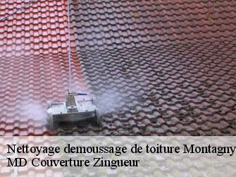 Nettoyage demoussage de toiture  1442