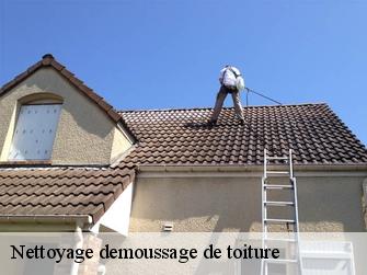 Nettoyage demoussage de toiture 1299