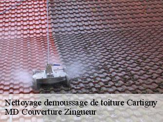 Nettoyage demoussage de toiture 1236