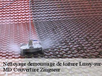 Nettoyage demoussage de toiture  1167