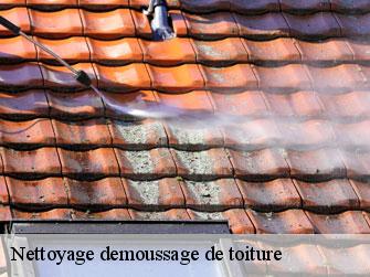 Nettoyage demoussage de toiture  1607