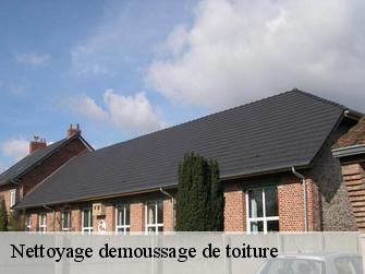 Nettoyage demoussage de toiture