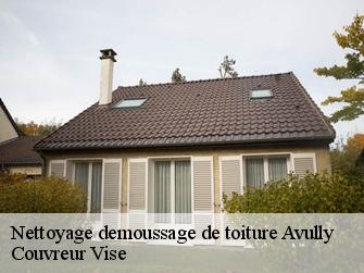 Nettoyage demoussage de toiture  avully-1237 Couvreur Vise
