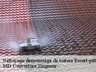 Nettoyage demoussage de toiture 1435