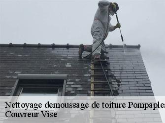 Nettoyage demoussage de toiture 1318