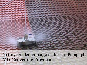 Nettoyage demoussage de toiture  1318