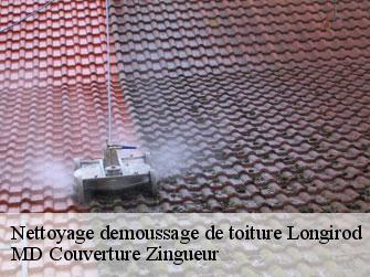 Nettoyage demoussage de toiture  1261